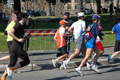 dominici_km_12_648