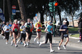 dominici_km_12_657