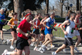 dominici_km_12_670