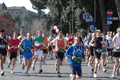 dominici_km_12_686