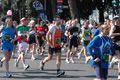 dominici_km_12_687