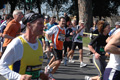 dominici_km_12_688
