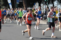 dominici_km_12_702