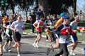 dominici_km_12_707