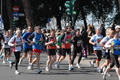 dominici_km_12_714