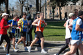 dominici_km_12_716