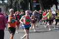 dominici_km_12_724