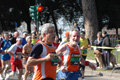 dominici_km_12_725