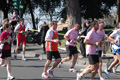 dominici_km_12_733
