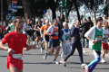 dominici_km_12_734