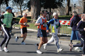 dominici_km_12_735