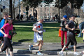 dominici_km_12_742
