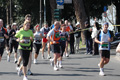 dominici_km_12_743