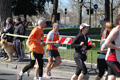 dominici_km_12_745