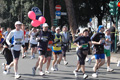 dominici_km_12_750