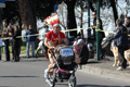 dominici_km_12_758