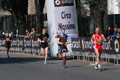 dominici_km_41_810