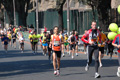 dominici_km_41_843
