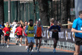 dominici_km_41_884