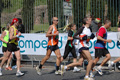 dominici_km_41_888