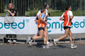 dominici_km_41_917