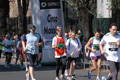 dominici_km_41_950