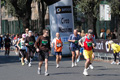 dominici_km_41_964