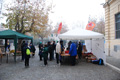 otto_fontanili_6888