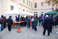 otto_fontanili_6921
