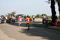 mollica_0426