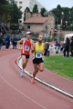 novembrino_2032