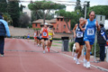 novembrino_2085