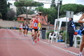novembrino_2088
