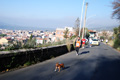 otto_fontanili_7157