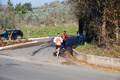 otto_fontanili_7328