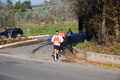 otto_fontanili_7331