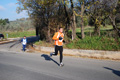 otto_fontanili_7339