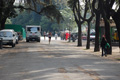 corsasolidarieta_111