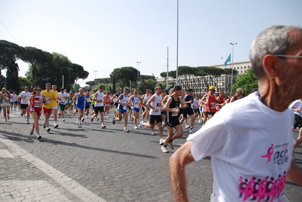 Race For The Cure (17/05/2009) race_7900