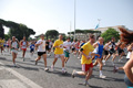 race_7904