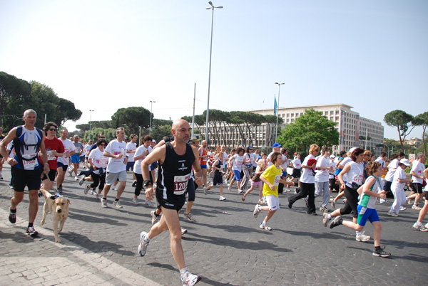 Race For The Cure (17/05/2009) race_7979