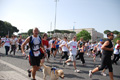 race_7980