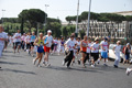 race_8013