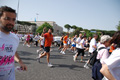 race_8038