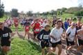 caffarella_4916