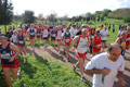 caffarella_4943