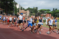 stafpat_7154