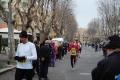 lidense_pino_218