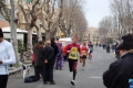 lidense_pino_219