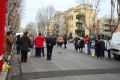 lidense_pino_243